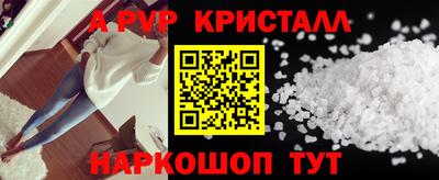 2c-b Кингисепп