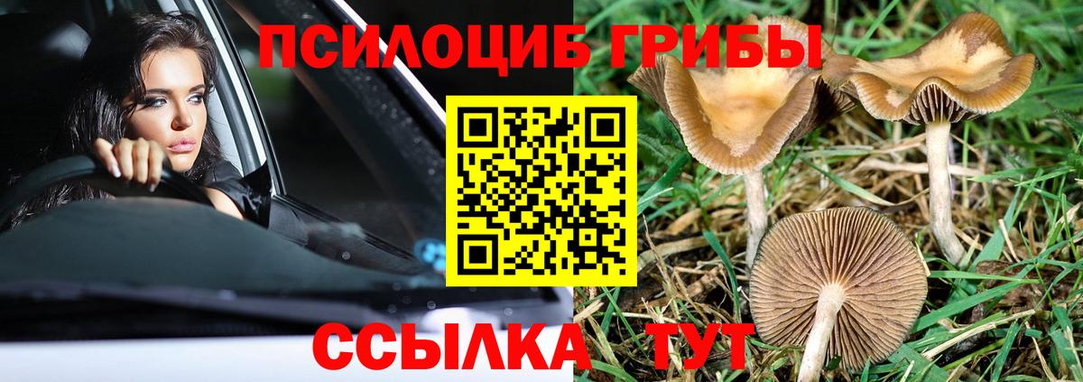 Еманжелинск  Псилоцибиновые грибы GOLDEN TEACHER  Вход с VPN  Псилоцибиновые грибы ЛСД 