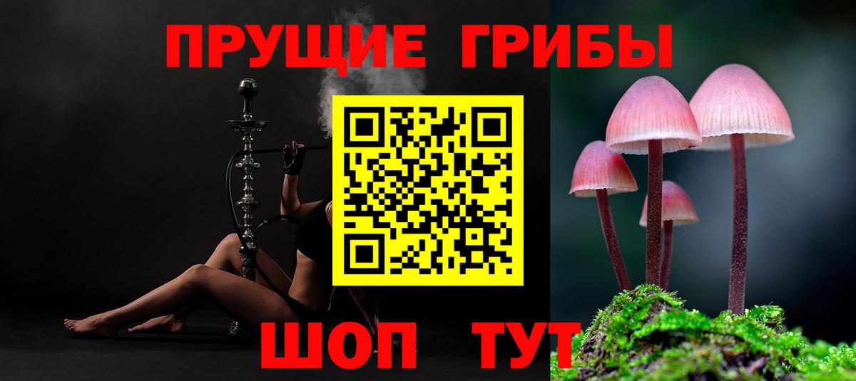 Псилоцибиновые грибы мицелий Еманжелинск